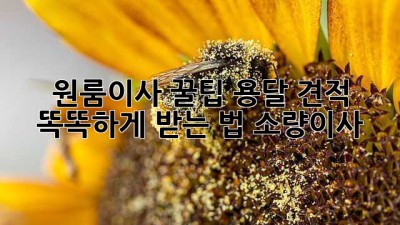 원룸이사 꿀팁🍯 용달 견적 똑똑하게 받는 법! #소량이사